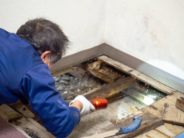 Best Post-Remediation Services in Perris, CA